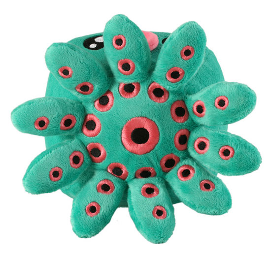 tako3-550x tako3-550x