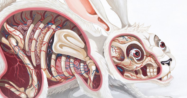 nichos-mighty-jaxx-toy-3