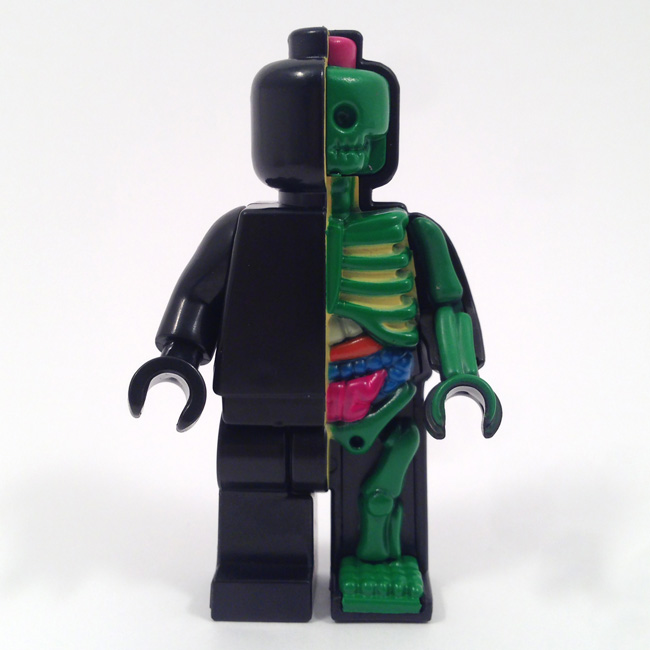 micro-anatomic-black-green