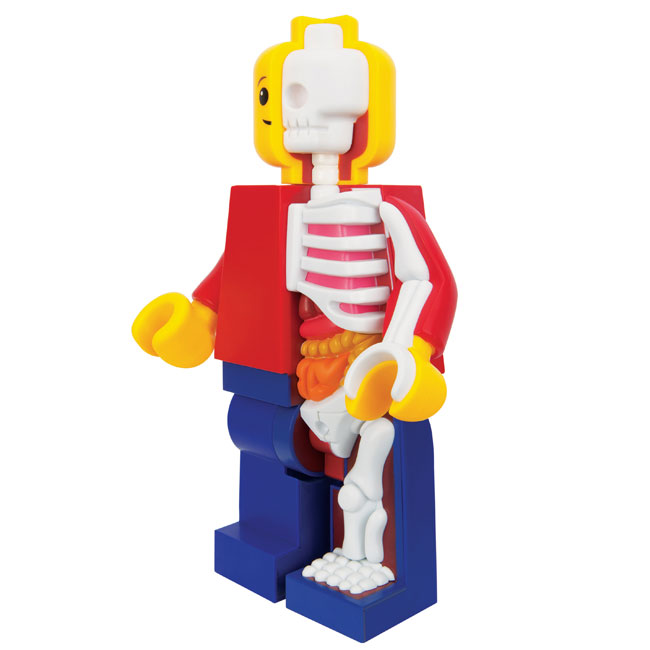 mighty-jaxx-jason-freeny-bigger-micro-anatomic-junior-2